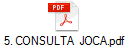 5. CONSULTA  JOCA.pdf