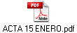 ACTA 15 ENERO.pdf