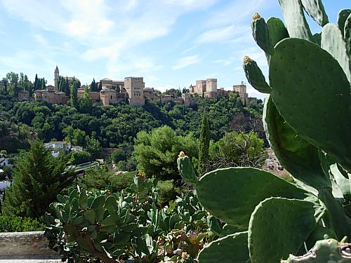 alhambra de granada. autor: javier snchez mingorance