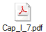 Cap_I_7.pdf