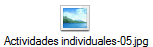 Actividades individuales-05.jpg