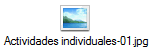 Actividades individuales-01.jpg