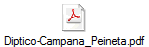 Diptico-Campana_Peineta.pdf