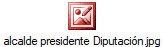 alcalde presidente Diputacin.jpg