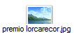 premio lorcarecor.jpg