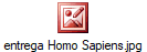 entrega Homo Sapiens.jpg