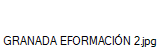 GRANADA EFORMACIN 2.jpg