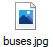 buses.jpg