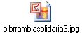 bibrramblasolidaria3.jpg