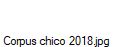 Corpus chico 2018.jpg