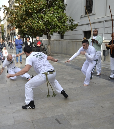 ©Ayto.Granada: El Ayuntamiento de Granada organiza la primera muestra del cine brasileo ms actual