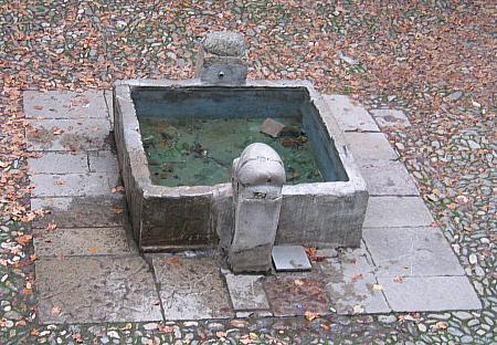 detalle de la fuente de patio central del corral del carbn