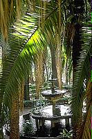 Jardín de las palmeras
