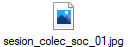 sesion_colec_soc_01.jpg