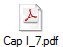 Cap I_7.pdf