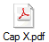 Cap X.pdf