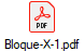 Bloque-X-1.pdf