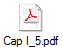 Cap I_5.pdf