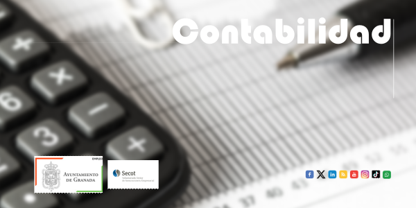 ©Ayto.Granada: banner monogrfico contabilidad 2024