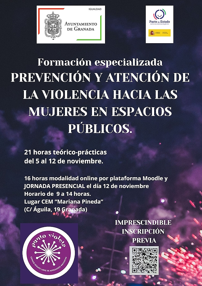 Curso: Prevencin y atencin de la violencia hacia las mujeres en espacios pblicos