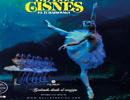 El Lago de los Cisnes: Ballet de Kiev