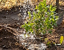 Exposicin bibliogrfica: suelo, agua, planeta y sostenibilidad