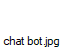 chat bot.jpg