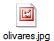 olivares.jpg