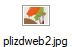 plizdweb2.jpg