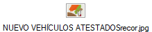 NUEVO VEHCULOS ATESTADOSrecor.jpg