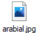 arabial.jpg