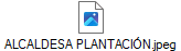 ALCALDESA PLANTACIN.jpeg