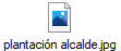 plantacin alcalde.jpg