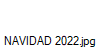 NAVIDAD 2022.jpg