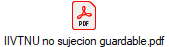 IIVTNU no sujecion guardable.pdf